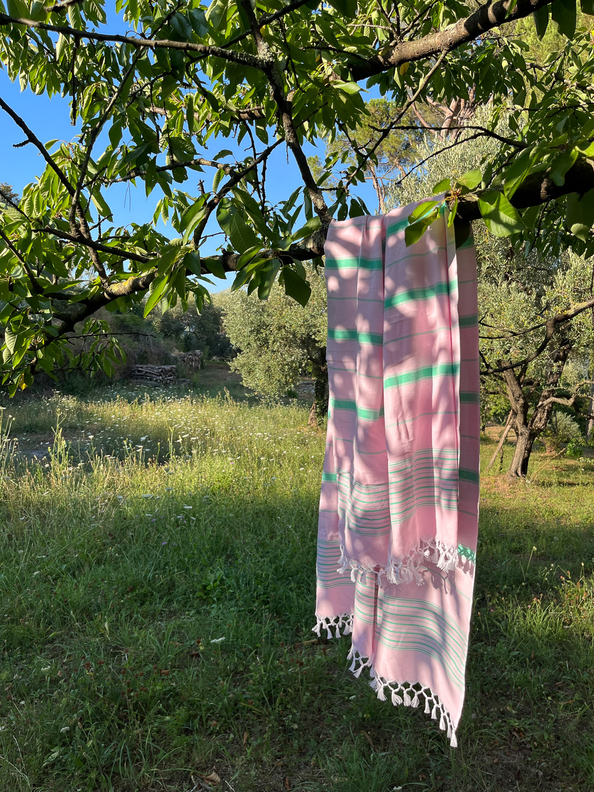 Asciugamano hammam XL rosa/verde giada 220x160cm